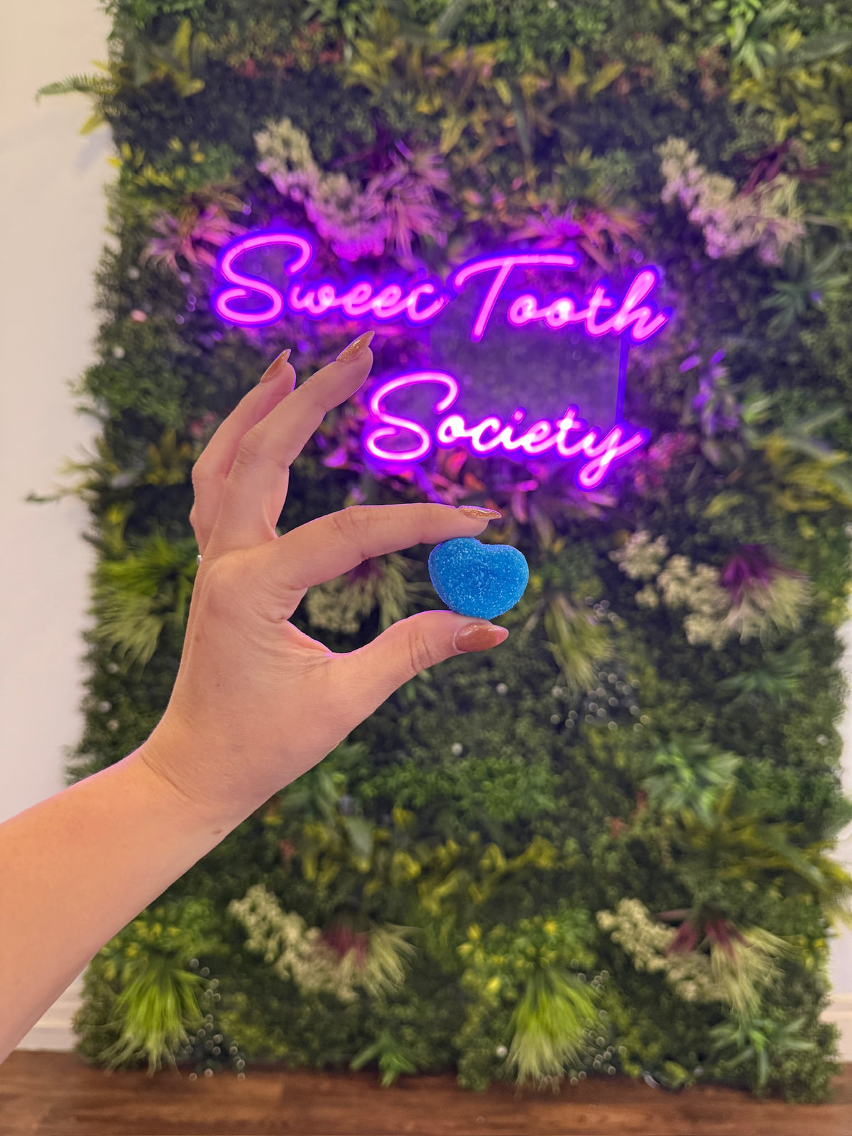 The Sweet Tooth Society neon sign on the hedge wall